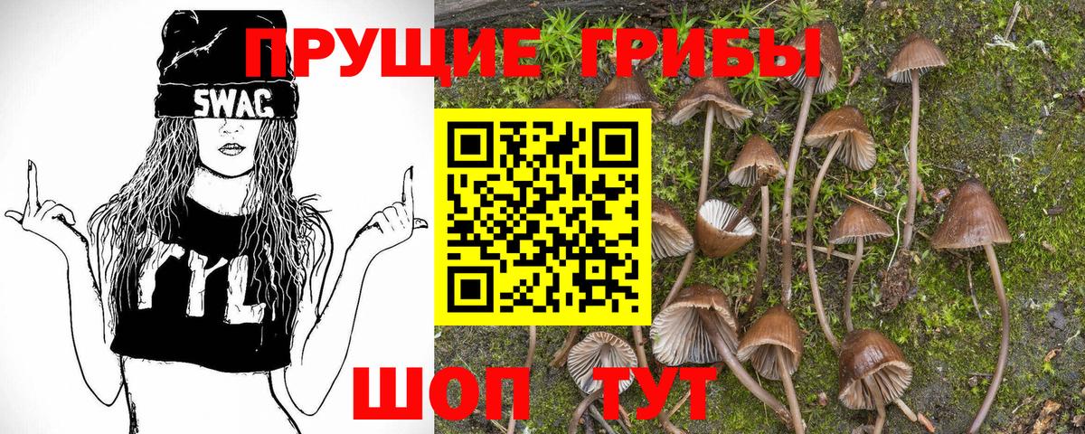 Воркута  Галлюциногенные грибы Cubensis  Вход с VPN  Псилоцибиновые грибы Magic Shrooms 
